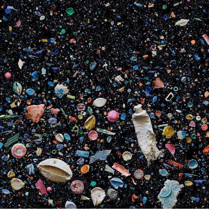 Microplastics in human reproductive organs